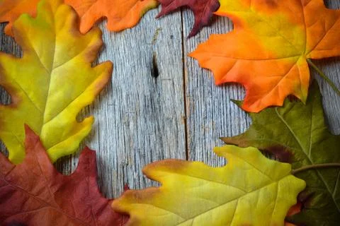 Fall leaves on a rustic wood background in the shape of a frame Foto stock