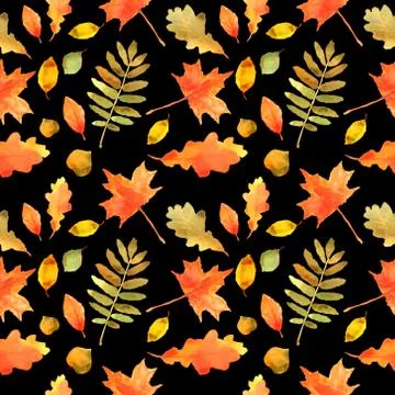 Fall leaves seamless pattern. Hand drawn watercolor painting. Colorful leaves Stock Illustration