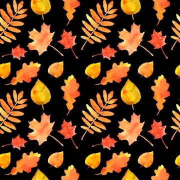 Fall leaves seamless pattern. Hand drawn watercolor painting. Colorful leaves Stock Illustration