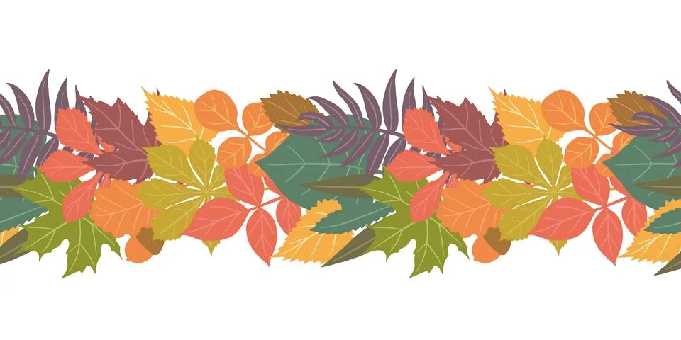 Fall leaves seamless vector border with oaks. Flat autumn leaves on a white b Stock Illustration