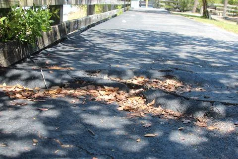 Fall leaves on the sidewalk Stock Photos