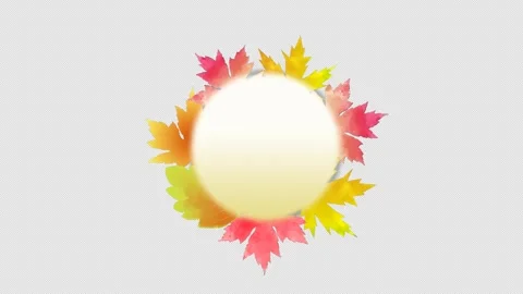 Fall leaves on transparent background Stock Footage 247694230