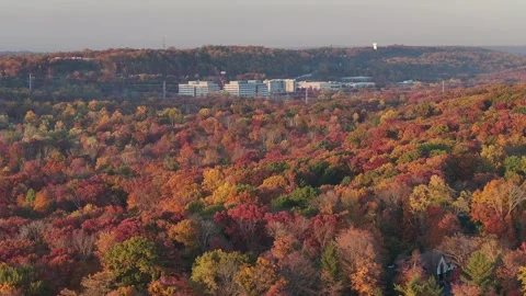 Fall Leaves Trees NYC Skyline Aerial from Watchung NJ 2024 Sun Flair Stock Footage 289147582