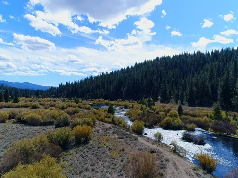 Fall Little Truckee River Video stock 80541986