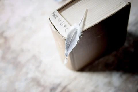 Fall in love. Stock Photos