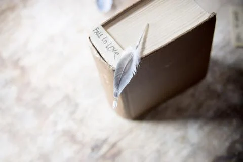 Fall in love. Stock Photos