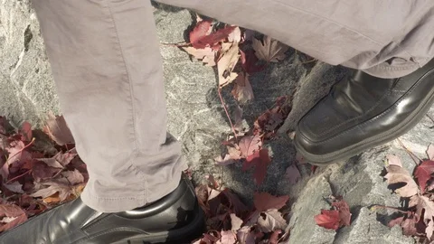 Fall- man climbing up and down of a rock full of orange maple leaves 4k Stock Footage 97382875