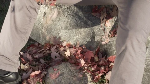 Fall- man dropping orange maple leaves on a rock 4k Stock Footage 97379261
