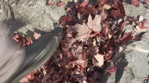 Fall- man kicking orange maple leafs on a rock 4k Stock Footage 97381238