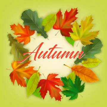 Fall maple and oak leaves on color background with inscription Autumn Stock Illustration