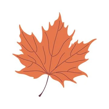Fall maple leaf illustration for autumn designs. Perfect for seasonal projects. Stock Illustration
