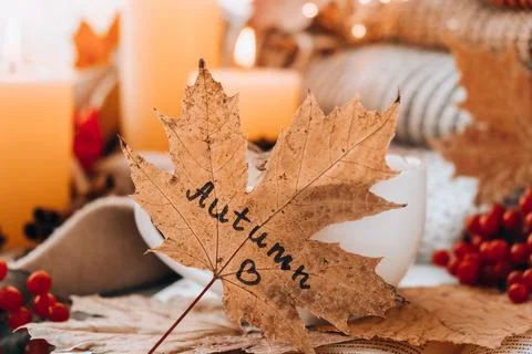 Fall maple leaf with text AUTUMN on Autumn season design concept. Candles on  Stock Photos