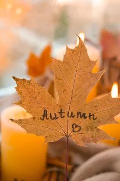 Fall maple leaf with text AUTUMN on Autumn season design concept. Candles ... Stock Photos
