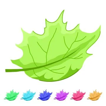Fall maple leaf vector cartoon graphic Illustrazione stock