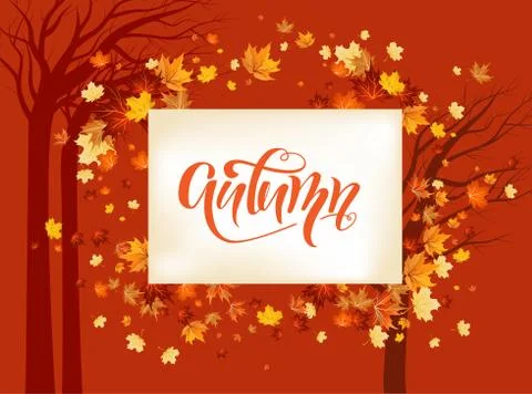 Fall maple leaves background. Stock Illustration