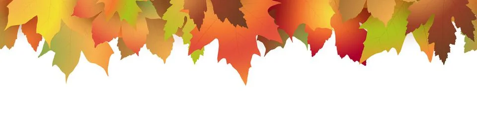 Fall maple leaves colored Stock Illustration