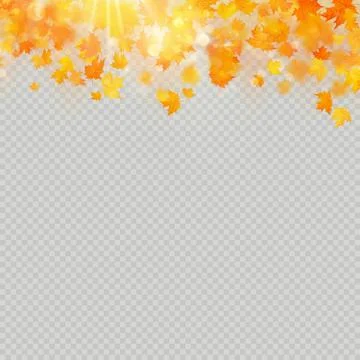 Fall maple leaves with delicate sun for decoration. Autumn leaves border Stock Illustration