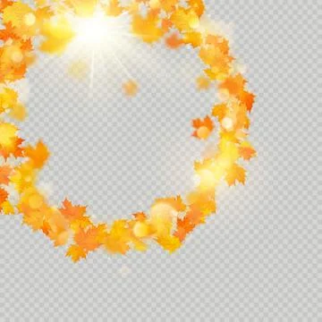 Fall maple leaves frame with delicate sun for decoration. Autumn leaves border Stock Illustration