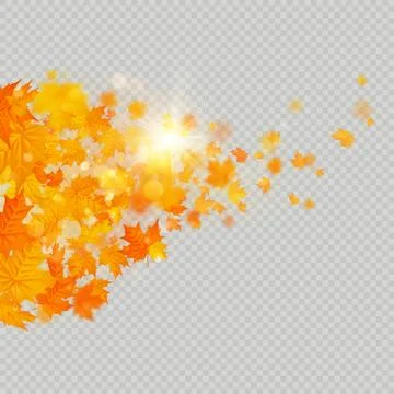 Fall maple leaves frame with delicate sun for decoration. Autumn leaves border Stock Illustration