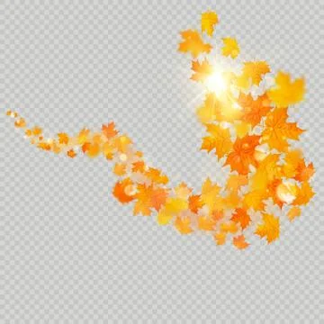 Fall maple leaves frame with delicate sun for decoration. Autumn leaves border Stock Illustration