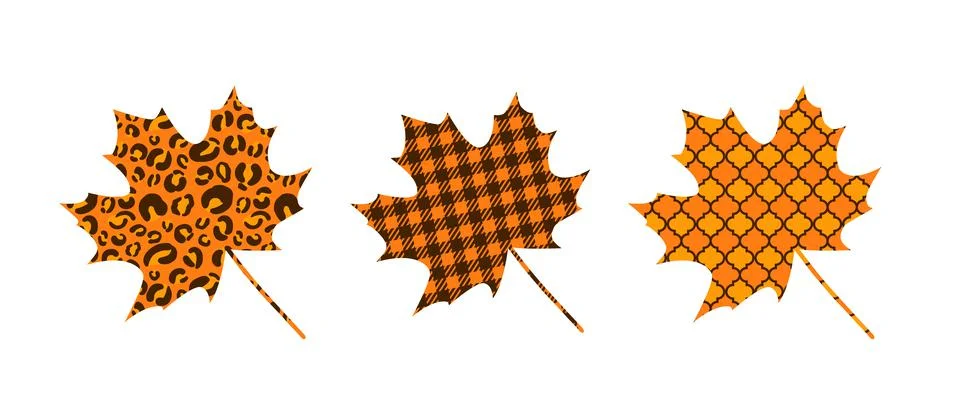 Fall maple leaves made of buffalo plaid, leopard and arabesque pattern.  Cute 스톡 일러스트