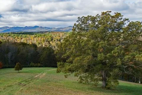 Fall Meadow at Biltmore Stock Photos