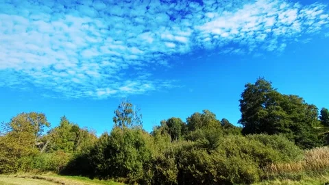 Fall Meadow Trees Under Moving Clouds Time-Lapse in Denmark Stock Footage 346601017