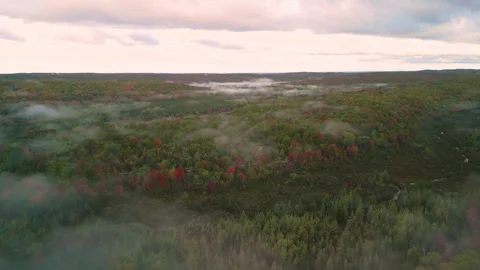 Fall in Michigan during peak leaf colors. Stock Footage 257002583
