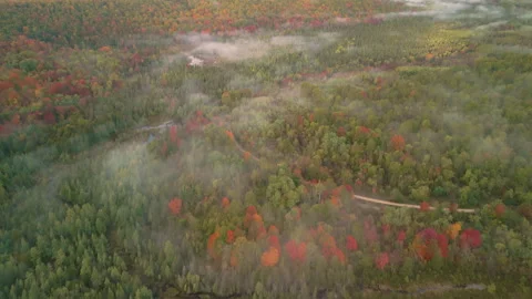 Fall in Michigan during peak leaf colors. Stock Footage 257002959