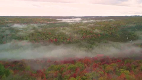Fall in Michigan during peak leaf colors. Video stock 257237723