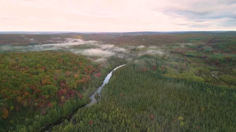 Fall in Michigan during peak leaf colors. Stock Footage 257247607