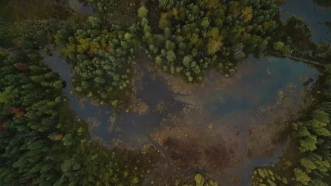 Fall in Michigan during peak leaf colors. Stock Footage 257248286