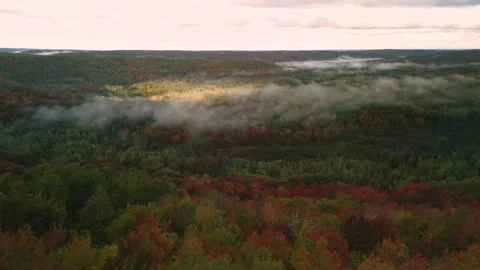 Fall in Michigan during peak leaf colors. Stock Footage 257257671