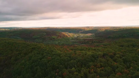 Fall in Michigan during peak leaf colors. Stock Footage 257258672