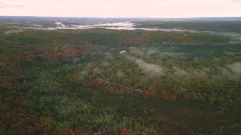 Fall in Michigan during peak leaf colors. Stock Footage 257258829
