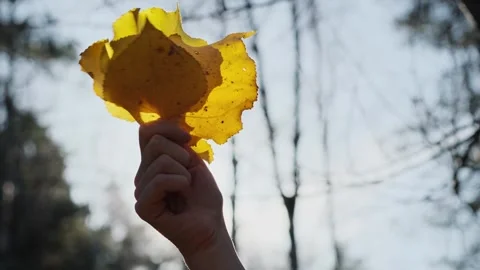 Fall mood, feeling. Video stock 277129816