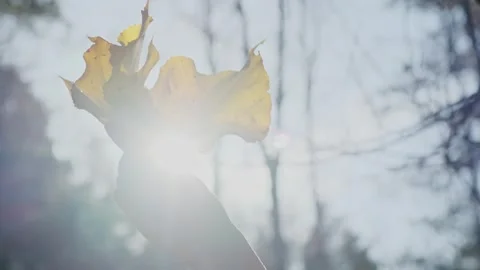 Fall mood, feeling. Vídeo Stock 280038912