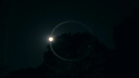 Fall Moon Rise 01 Video stock 31976192
