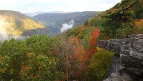 A fall morning Stock Footage 8852943