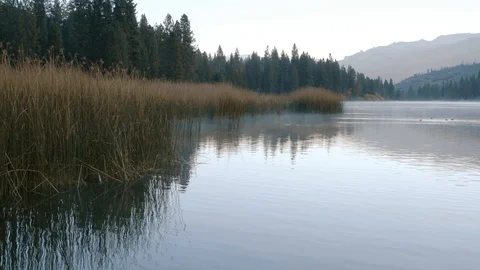 Fall Morning on a Lake Stock Footage 119084135