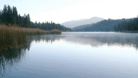Fall Morning on a Lake Stock Footage 119084375