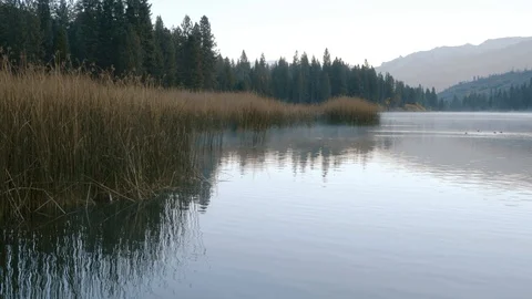 Fall Morning on a Lake Stock Footage 119084614