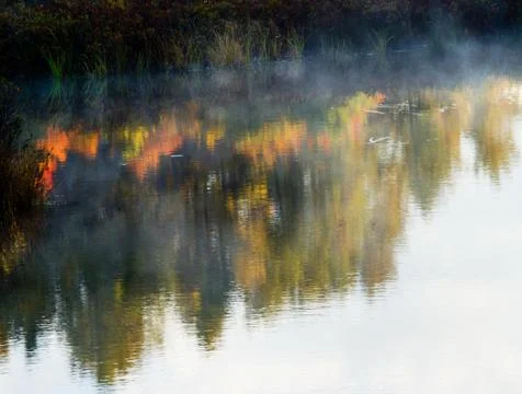 Fall Morning Stock Photos