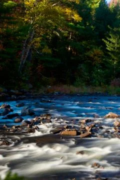 Fall Morning Stock Photos