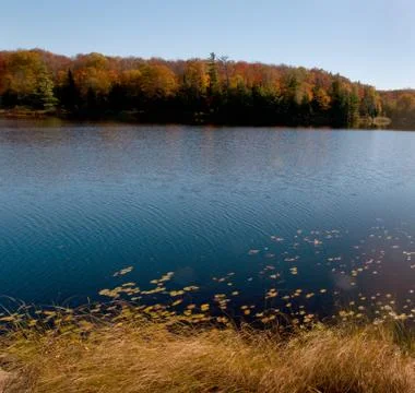 Fall Morning Stock Photos