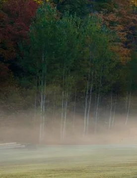 Fall Morning Stock Photos