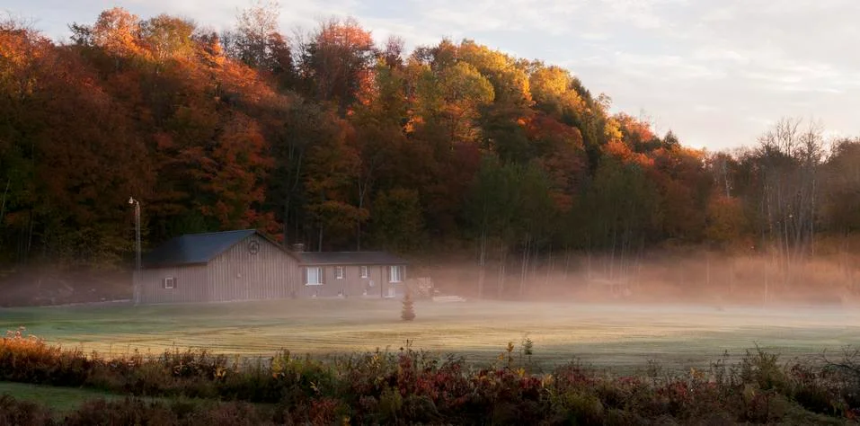 Fall Morning Stock Photos