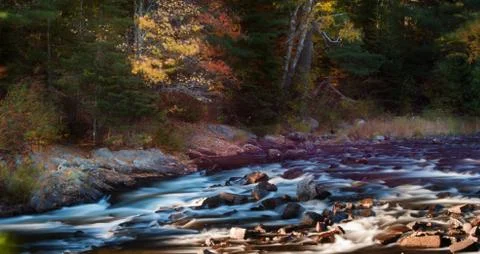 Fall Morning Stock Photos
