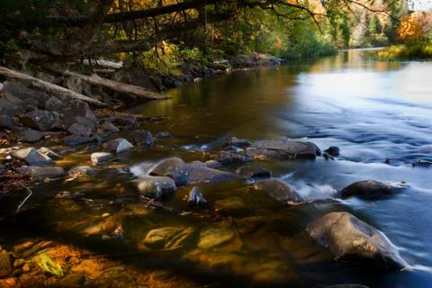 Fall Morning Stock Photos