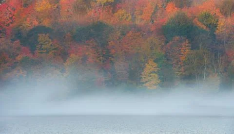 Fall Morning Stock Photos